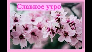 Славное утро 🌸🌷🎵