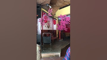 #shorts góc cà phê ngày Tết | dung an suong travel