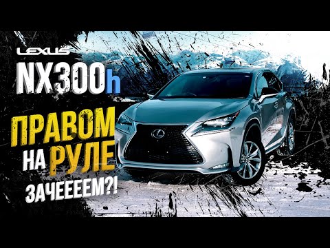 Video: Hat mein Lexus einen Rückruf?