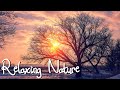 Music Nature Relax | Ambient Guitar Music &amp; Soulful Sounds # 1