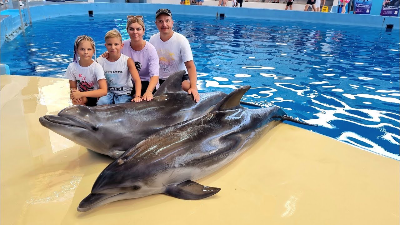Дельфинарий Сочи. Парк Ривьера. - YouTube