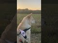 夕空とわたし