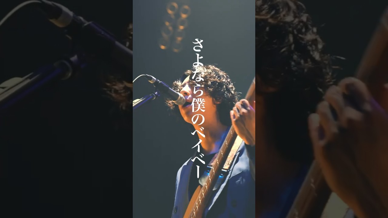 Watch さよなら僕のベイベー いつかは君を忘れる #夢の恋人 #ズーカラデル #ライブ #邦ロック #shorts on YouTube Watch さよなら僕のベイベー いつかは君を忘れる #夢の恋人 #ズーカラデル #ライブ #邦ロック #shorts on YouTube