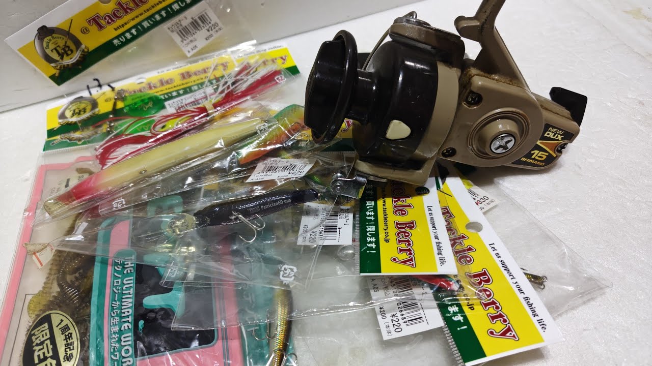 極稀少 バヌアツ産 ボアタスク サークルタスク Tokyo Hamura Scavenger Hunt: Found a Steal on Sea Bream and a