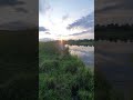 #рыбалка #рыбалканаозере #готовканаприроде #деревня #готовиммясо #россия#карп #щука #лодкадлярыбалки