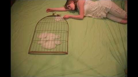 "The Clouds" stop motion short film