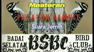 Masteran PELATUK SAMPIT,,Suara Jernih Cepat Masuk ke Burung Gacoan