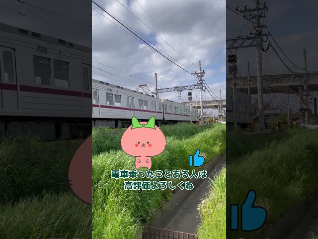 電車が来た！電車を見る！