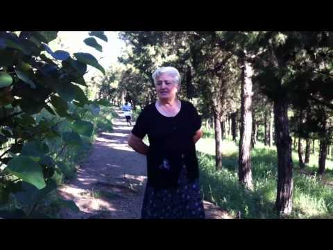 როზა გილოცავ დღეგრძელობა გახარება