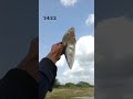 farru fisher #fishing #fish #facts #latest #seafood #new #trending #viral #dastan #factsdastan