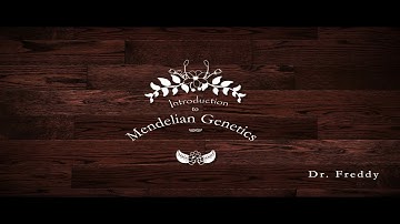 Introductioin to Mendelian Genetics