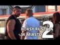 K0KSY RUSZAJĄ W MIASTO 2