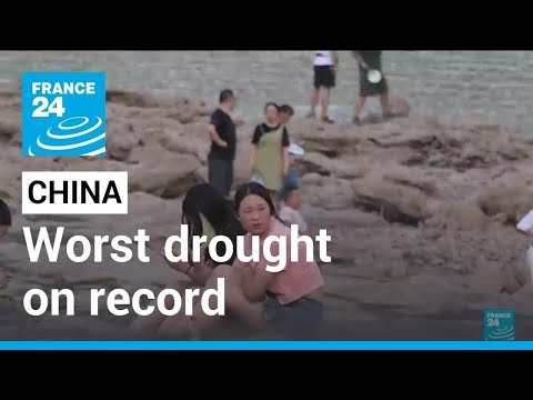 Half of China hit by drought in worst heatwave on record • FRANCE 24 English