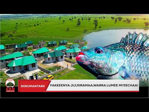 Dookumantarii Aanaa Lumee || Fakkeenya Jijjiiramaa! Warra Lumee Mi'eechaa