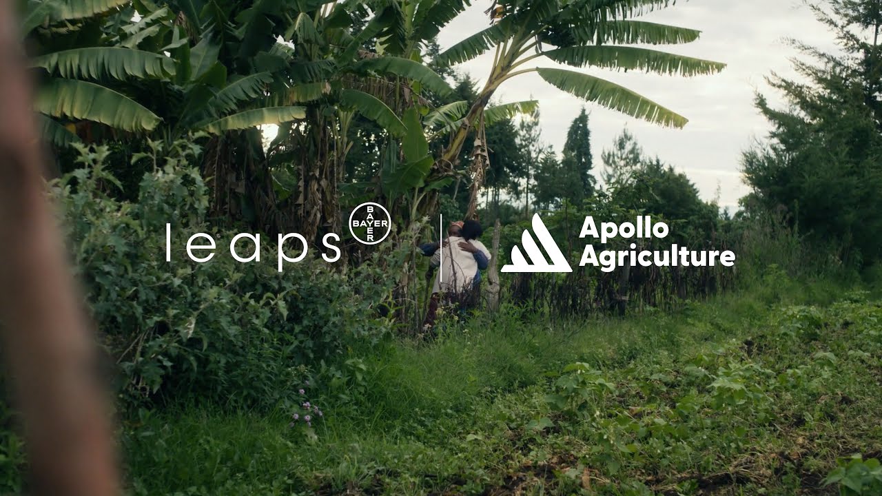 Apollo Agriculture: Farming Innovation That’s Feeding the Future - YouTube