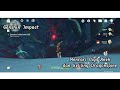 Genshin Impact - Co-op Mencari Gigi Aneh dan Keliling dragonspine 2024