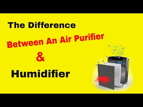 What Is The Difference Between Air Purifiers, Humidifiers & All  Other Types Of Air Enhancers?
