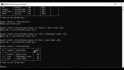 6.3 Lenguaje de Manipulación de Datos (LMD)