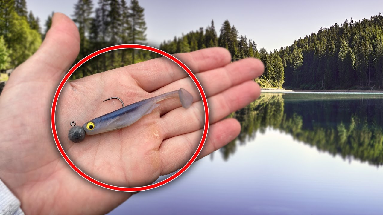 You Can Catch MORE and BIGGER Bass with THIS Bait