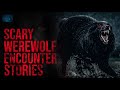 Dogman and Werewolf Stories | Dogman Encounter Stories