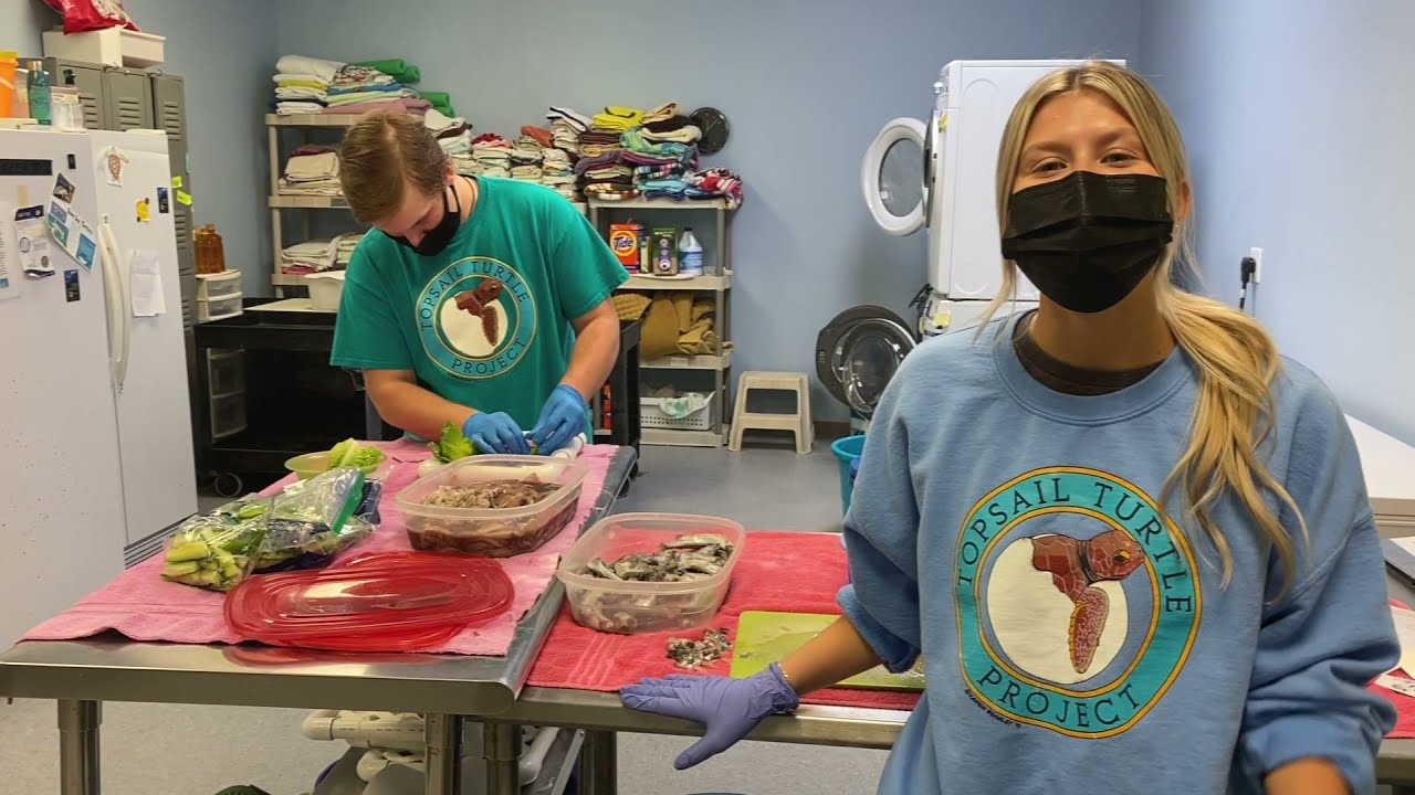 A Day in a Life of an Intern