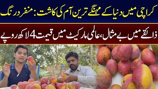 Why Miyazaki Mangoes Are So Expensive? | International Market Price: Produced in Karachi | 92NewsHD