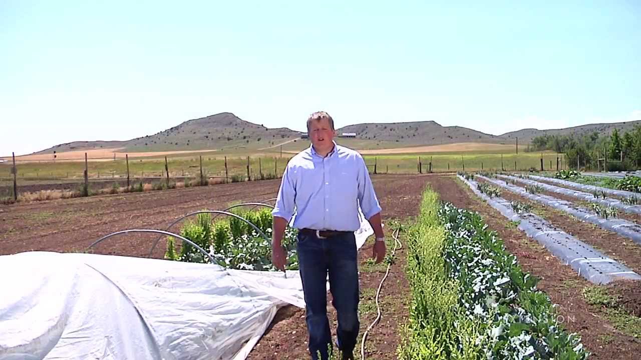 producers examples Sheridan Research & Extension Center