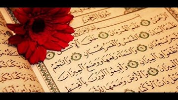 سورة الرحمان بصوت اكثر من رائع (بدون حقوق ملكية)