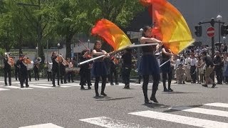 東北の舞踊やコスプレで行進 よこはまパレードに３５万人