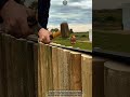 Metal Fence Reinforcement Across Every Timber Post