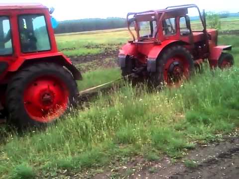 ভিডিও: MTZ এ চাষী: MTZ-80 এবং MTZ-82, MTZ-1221 ট্রাক্টর এবং অন্যান্য মডেলের জন্য মাউন্ট করা চাষীর পছন্দ