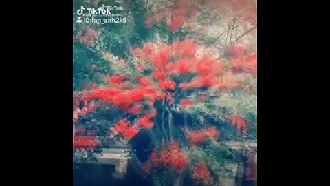 Chúc các bạn có động lực thi tốt nha