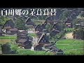 白川郷の茅葺葺替 日本の民家の植物性屋根の葺替え Re-roofing in the vegetable roof of a Japanese private house