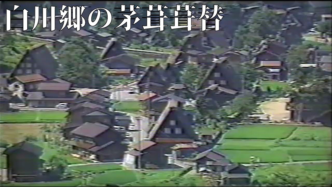 Re-roofing in Shirakawa-go: Re-roofing the vegetable roof of a 