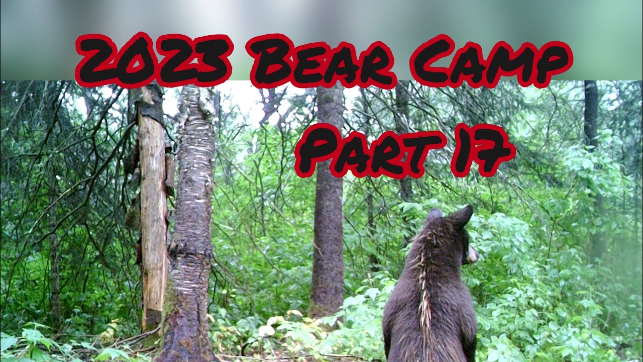 2023 Bear Camp Part 17 - YouTube