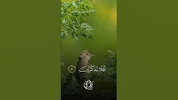 الآية ٣ سورة يونس 🤍🍀 #اكسبلور #جديدي #حالات_واتس #لايك #تيك_توك #trending #راحة_نفسية #explore