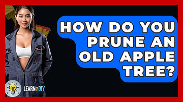 How Do You Prune An Old Apple Tree? - LearnToDIY360.com
