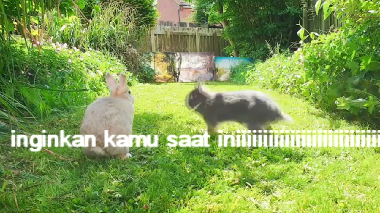 hildanlogic - butuh kamu ft alfaro shawty (prod michaelwarren) (lyrics video)