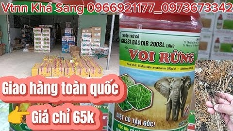 Thuốc trừ cỏ VOI RỪNG diệt trừ cỏ tận gốc rễ,không mọc lại.Vtnn Khá Sang 