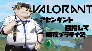 【ランク配信】VALORANT目指せアセンダント！現在プラチナ2