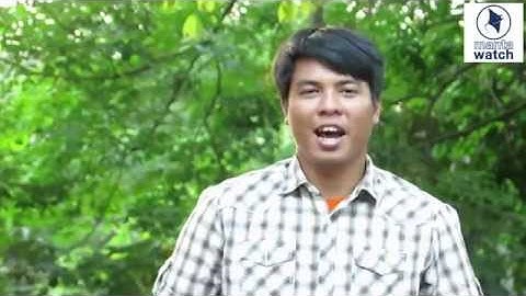 MantaWatch Internship Program 2015 - Divo Ario