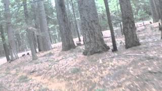 Mountain Biking the Pioneer Trail