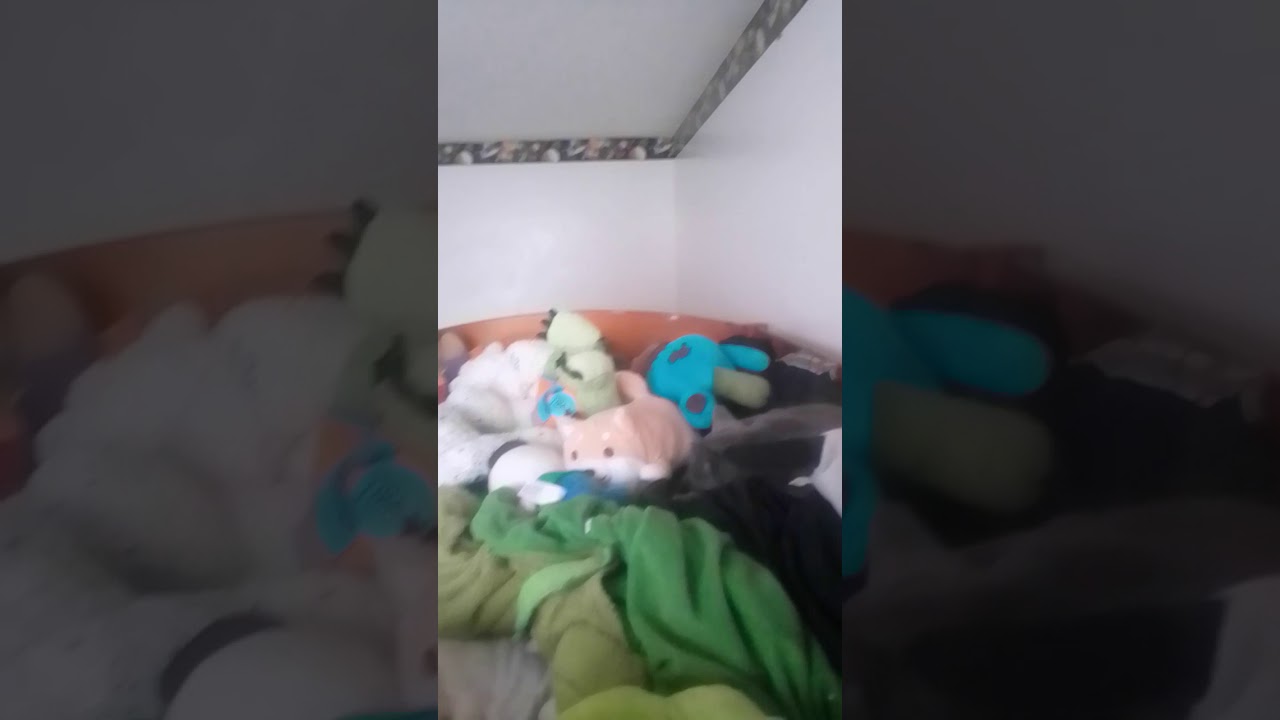 bfh 4 trailer all contestants