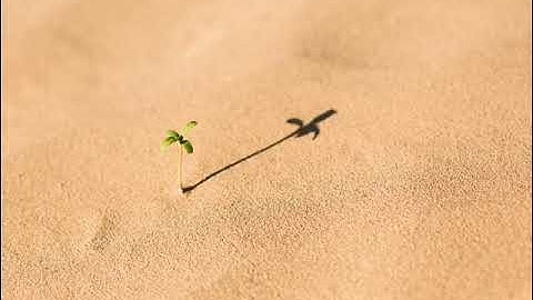 86 سورة الطارق | الشيخ عبدالرحمن الماجد