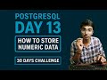 Day 13: PostgreSQL Day 13 | Numeric Data Types – smallint, int, bigint, real, float Bhojpuri