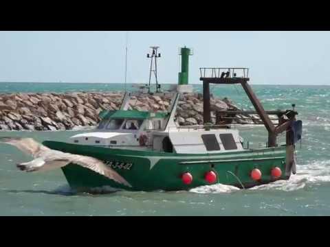 Ports de la Generalitat: L'activitat pesquera de Cambrils amposta weather