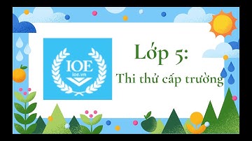 Thi ioe - cấp trường - khối 5 (hướng dẫn giải chi tiết từng câu) - Lần 1 ngày 01.09.2023