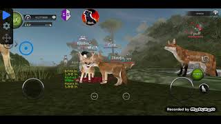 wild animals online Donkey trasform Fennec panda what trasform