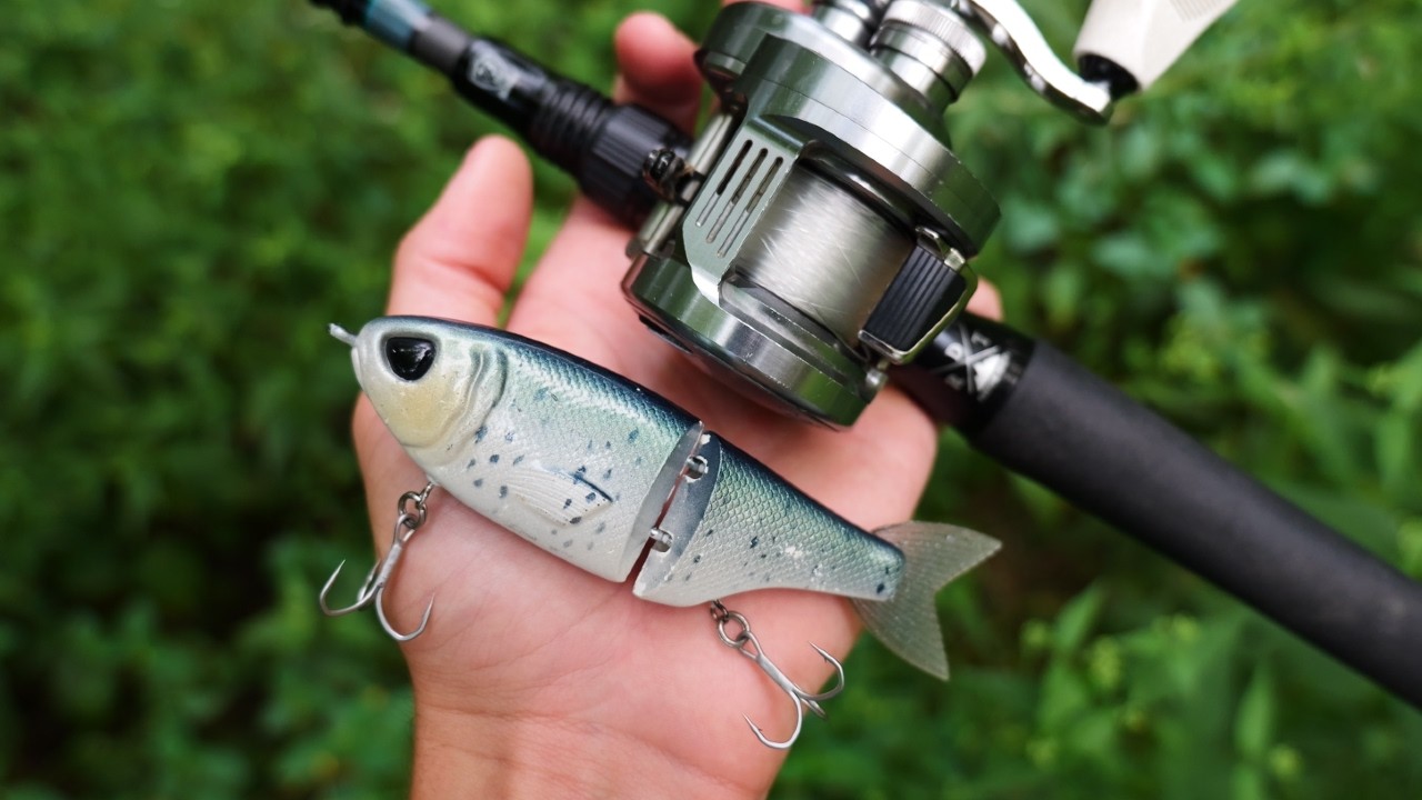 Fishing Forgotten Golf Course Ponds for Giant Summer Bass