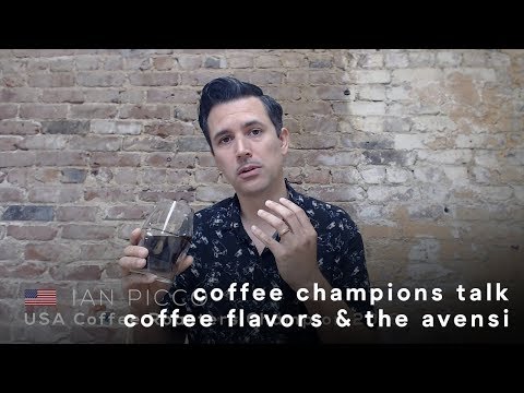 Coffee Champions Talk Coffee Flavors & the AVENSI